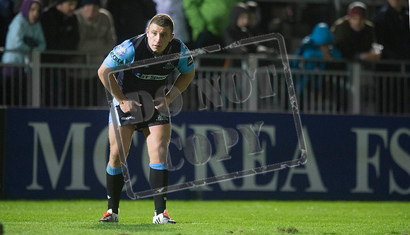 glasgow warriors