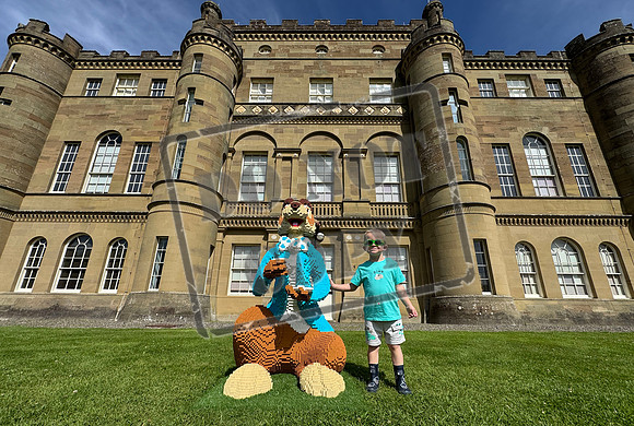 Step into Brick Wonderland: A Magical LEGO Brick Adventure at Culzean Castle!