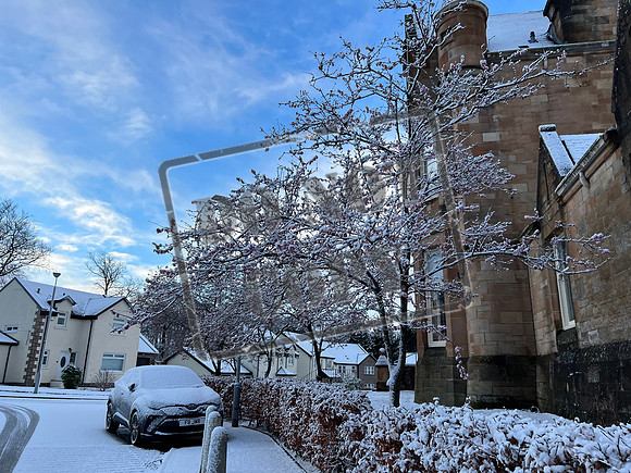 storm gladys snow