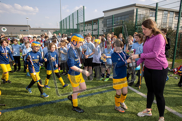 gaelic sport