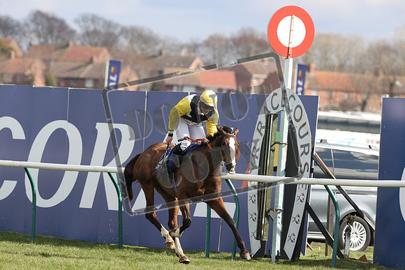 RACING Ayr