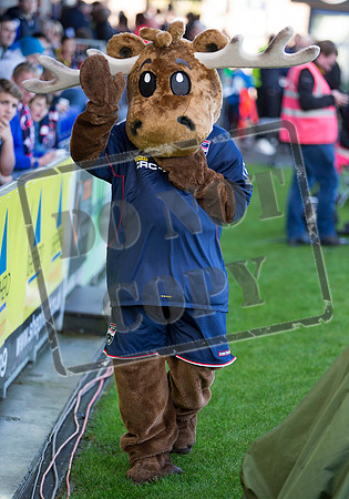 SOCCER Ross County