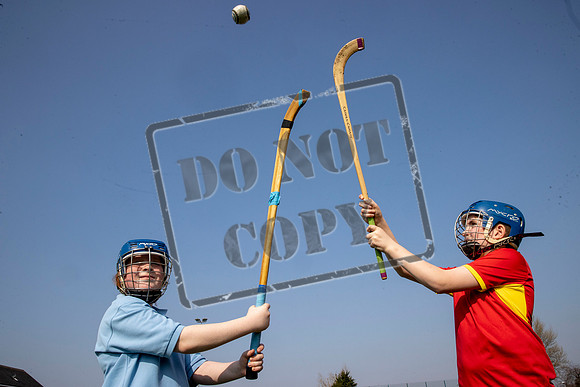gaelic sport