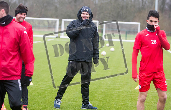 partick thistle