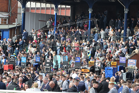 RACING Ayr