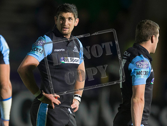 glasgow warriors