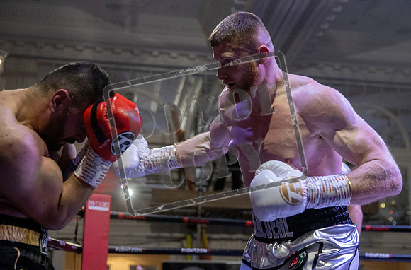 Fightzone boxing