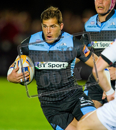Glasgow Warriors Rugby