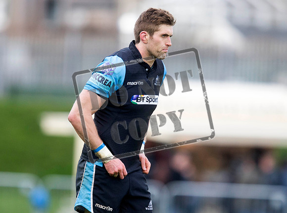 warriors v toulouse