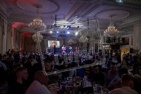 Fightzone boxing