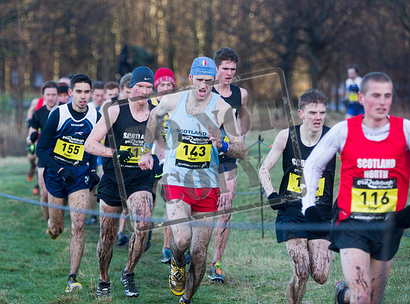 Great winter run