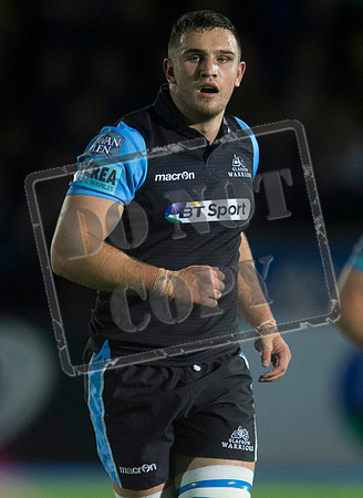 glasgow warriors