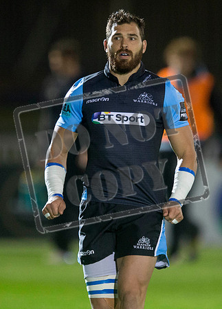 glasgow warriors