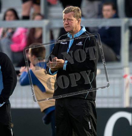 glasgow warriors