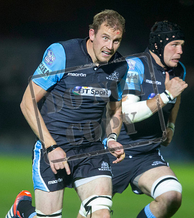 glasgow warriors