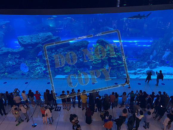 Dubai UAE
