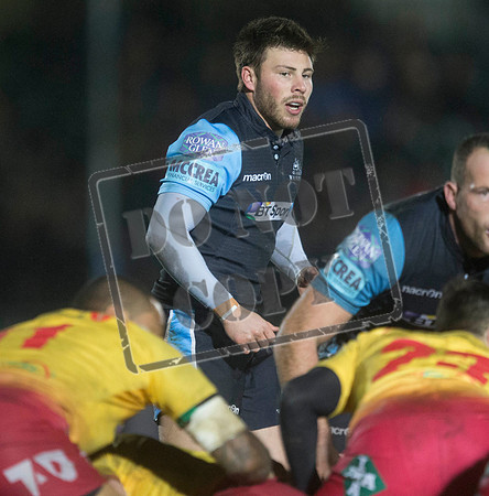 warriors v scarlets