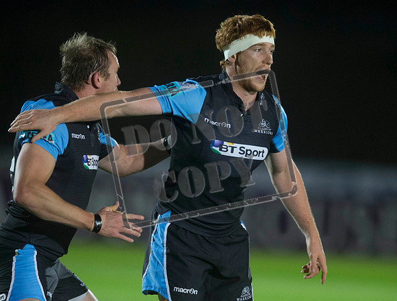 glasgow warriors