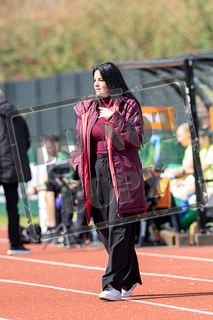 Hibs v Hearts
