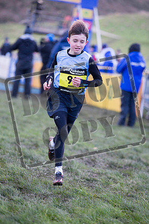 Great winter run