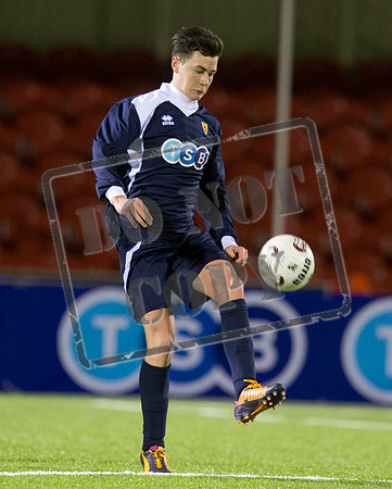 scotland v wales