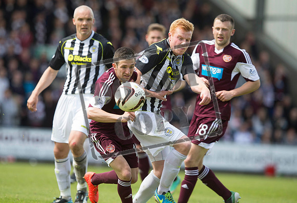 st mirren v hearts