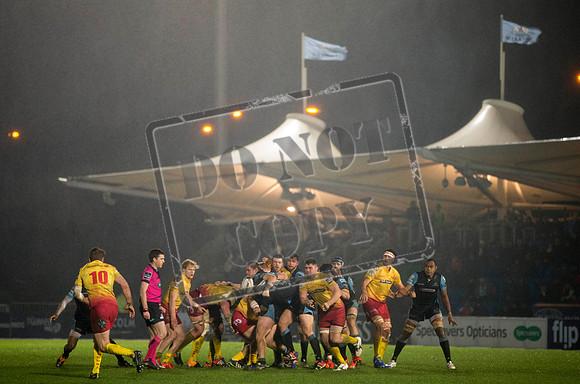 warriors v scarlets