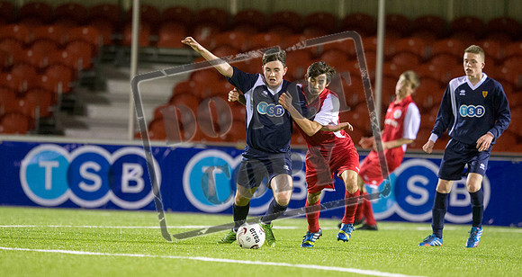 scotland v wales