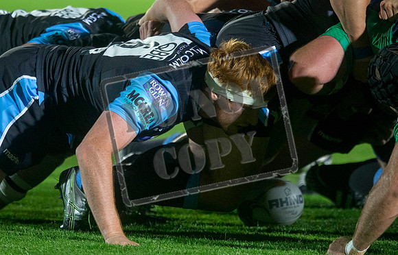 glasgow warriors