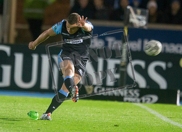 glasgow warriors