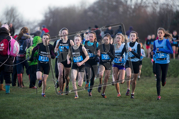 Great winter run