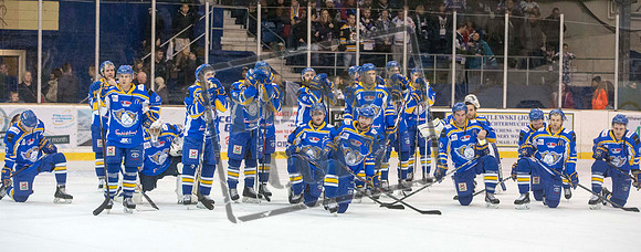 ice hockey