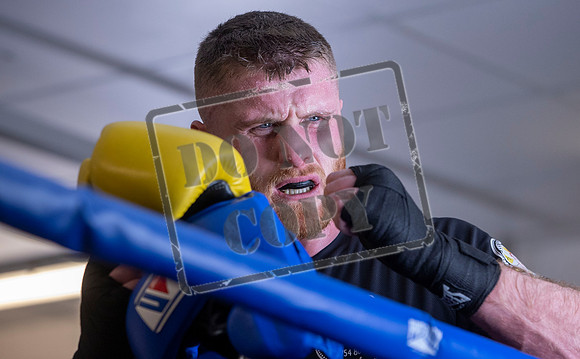 David Jamieson / boxer