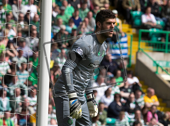 Celtic champions