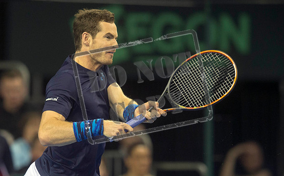 TENNIS Davis Cup