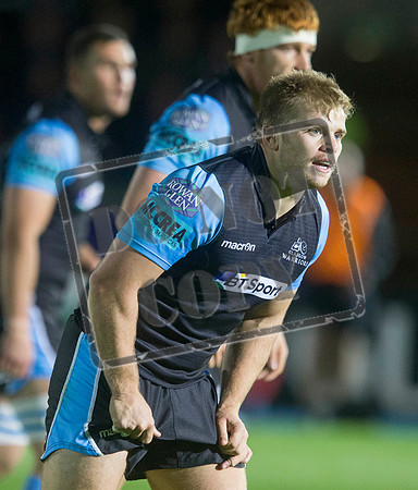 glasgow warriors