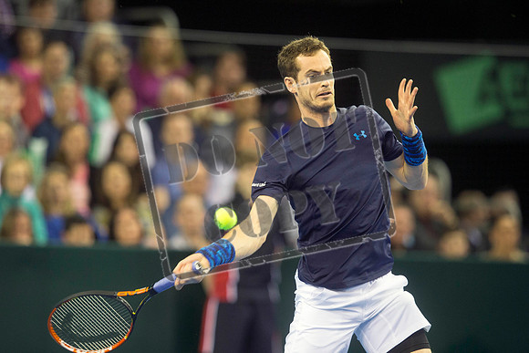 TENNIS Davis Cup
