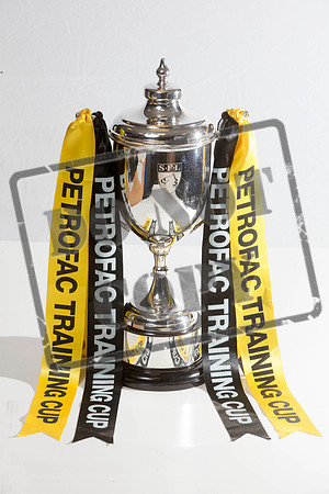 trophy, 2015, challange cup