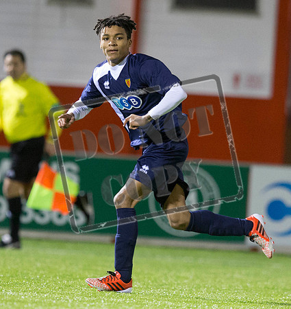 scotland v wales