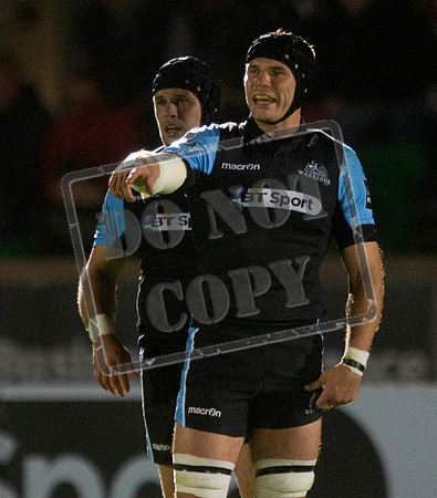 glasgow warriors