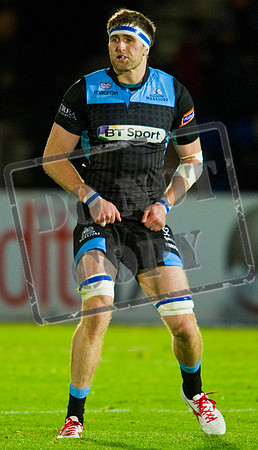 Glasgow Warriors Rugby