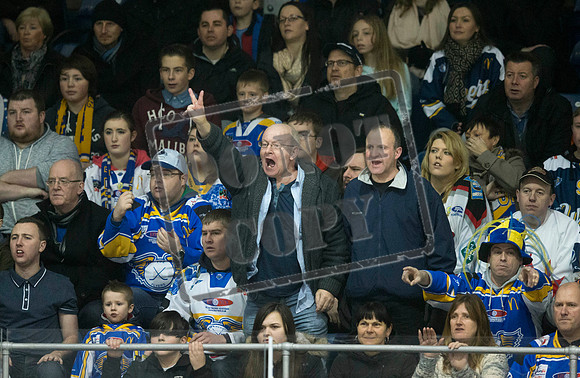 ice hockey