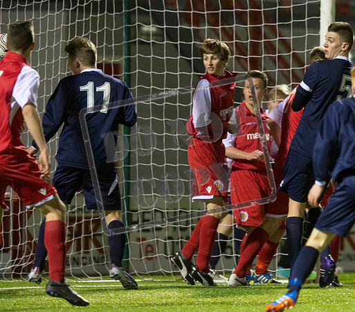 scotland v wales