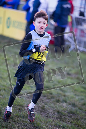 Great winter run