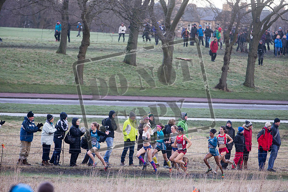 Great winter run