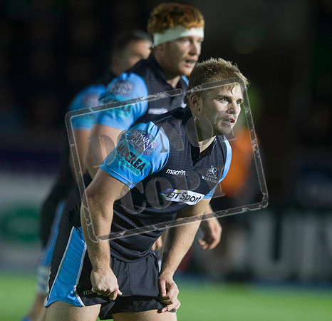 glasgow warriors