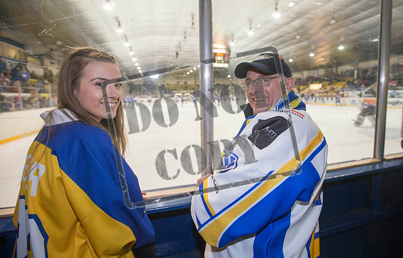ice hockey