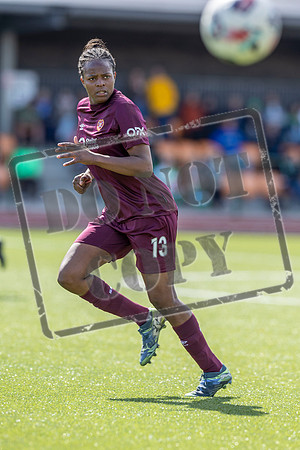 Hibs v Hearts