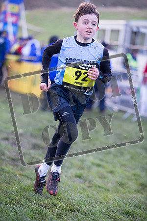 Great winter run