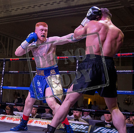 Fightzone boxing